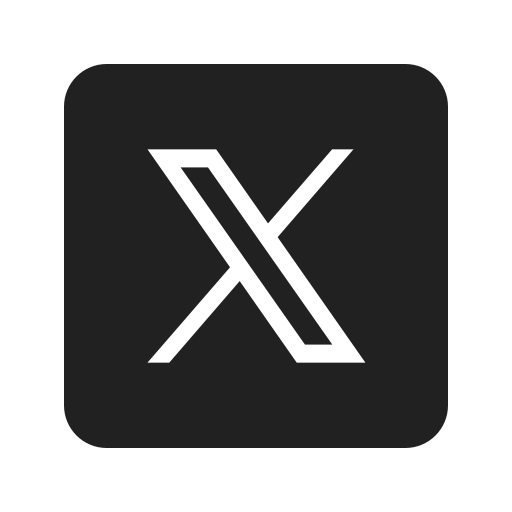 公式X