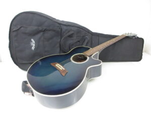 TAKAMINE タカミネ アコースティックギター PT106