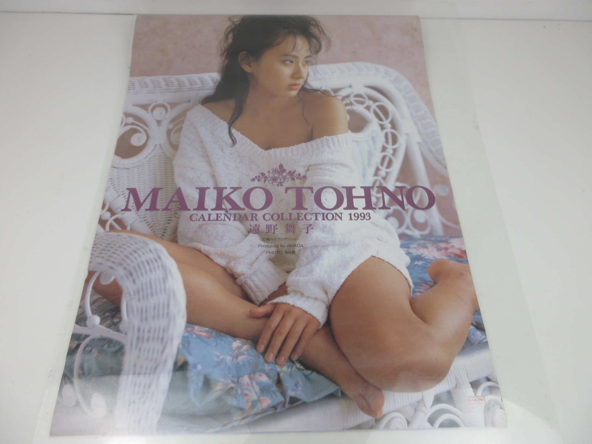 遠野舞子 1993年 カレンダー